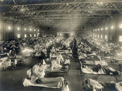Епідемія іспанського грипу 1918-1920 років